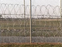 11987642_BG1.jpg